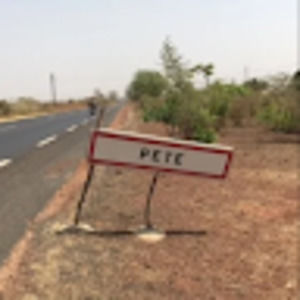 Meet your Posher, Peter